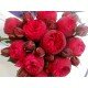 Роза Пиано (Rose Piano)