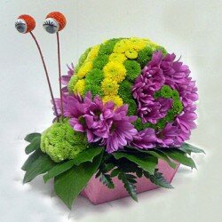 Композиция "Улитка"